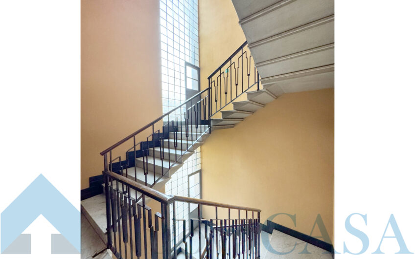 Tilocale – Zona Cadore